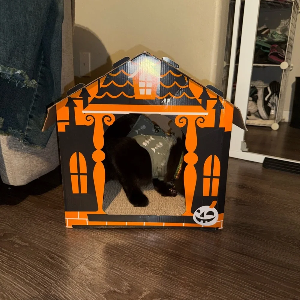 Orange spooky haunted house Cat Scratcher